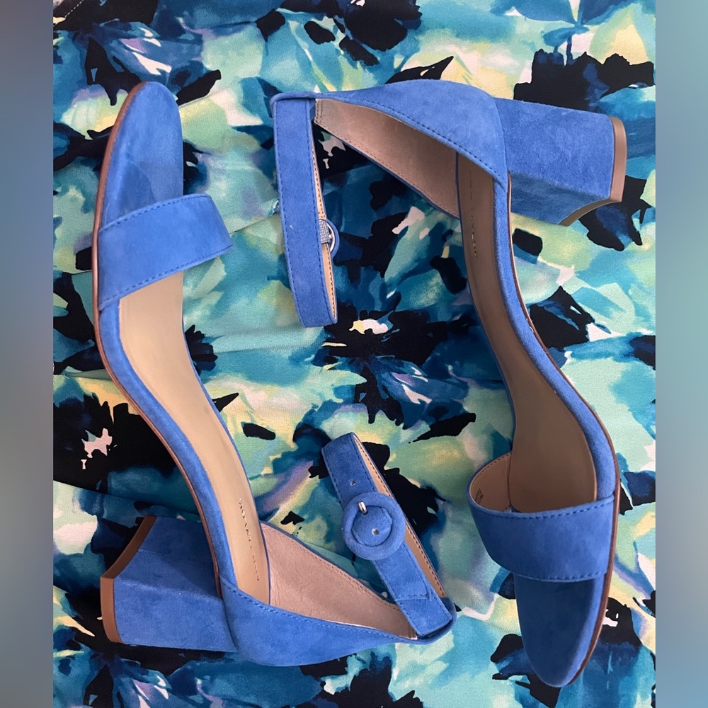 Ann Taylor Blue Suede Sandal